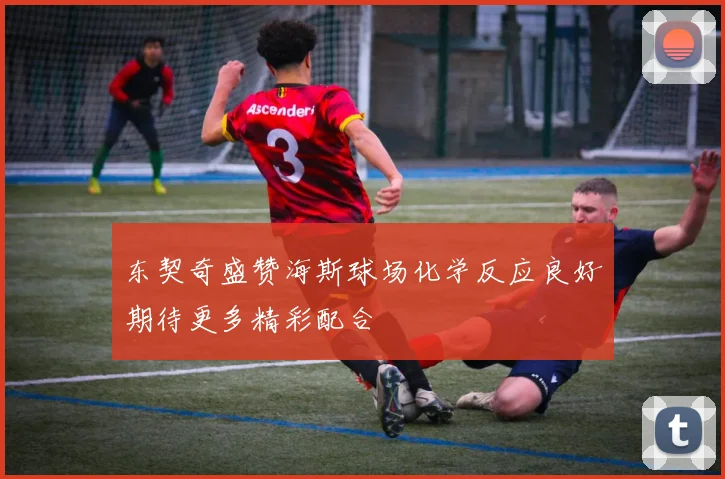 东契奇盛赞海斯球场化学反应良好期待更多精彩配合