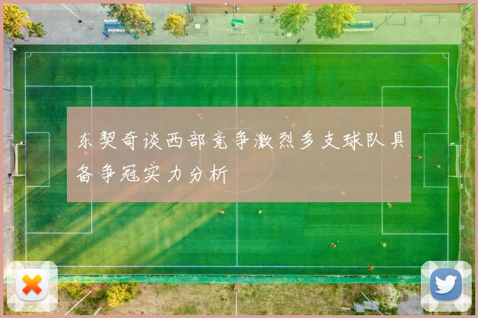 东契奇谈西部竞争激烈多支球队具备争冠实力分析